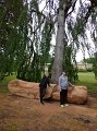 IMG-20200529-WA0001