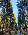 IMG-20200506-WA0022