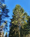 IMG-20200506-WA0023