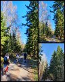 IMG-20200506-WA0026