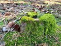 IMG-20200508-WA0008