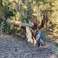 IMG-20200508-WA0009