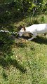 IMG-20200508-WA0032