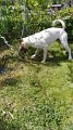 IMG-20200508-WA0033