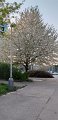 IMG-20200509-WA0009