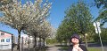 IMG-20200509-WA0010