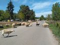IMG_20200508_133507