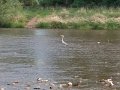 IMG_20200508_154349