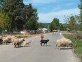 IMG_20200508_154755