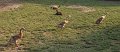 IMG-20200319-WA0014
