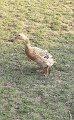 IMG-20200319-WA0015
