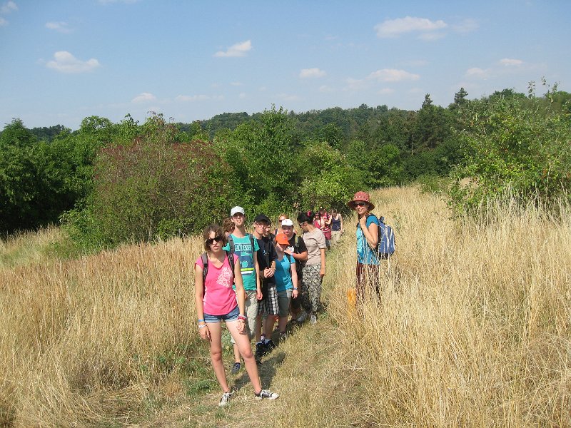 IMG_8648.JPG
