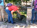IMG_20200805_103824