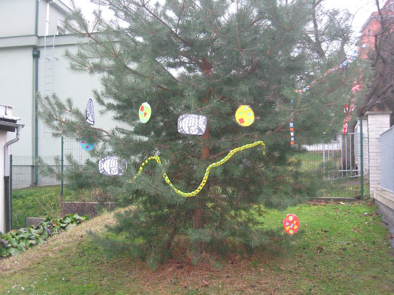 IMG_0137.JPG