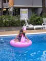 P1013101